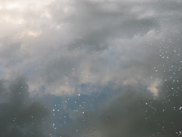Blurred Edges 2015